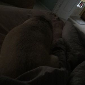 Meet your Posher, Keith